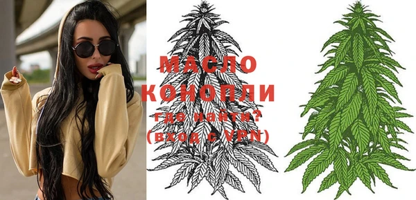 молекула духа Гусев