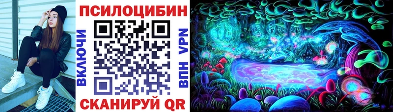 где найти наркотики  Серпухов  Галлюциногенные грибы прущие грибы 